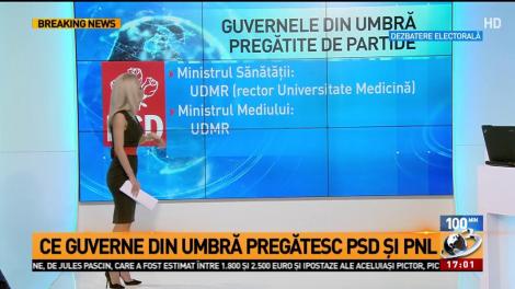 Ce guverne din umbră au pregătit principalele partide: PSD şi PNL