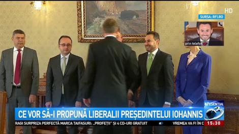 Gheorghe Falcă: PNL nu va merge cu o propunere de premier la Cotroceni