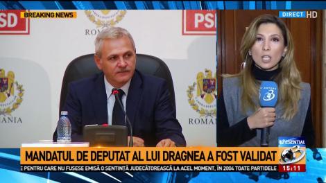 Mandatul de deputat al lui Liviu Dragnea a fost validat