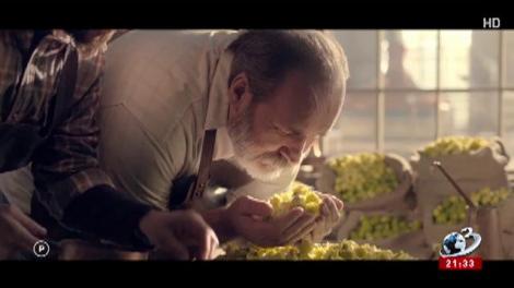 Tăriceanu: Nu ne lăsăm antrenați &icirc;ntr-un război