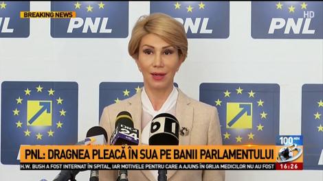 Scandal pe tema plecării lui Dragnea &icirc;n SUA