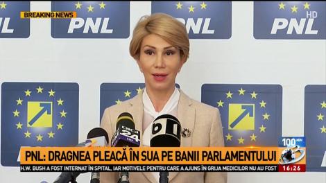 Scandal pe tema plecării lui Dragnea în SUA