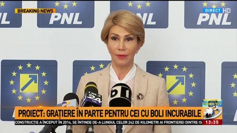 Raluca Turcan, despre amnistie și grațiere