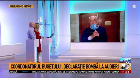 Declarații șoc în comisia care anchetează gaura din buget