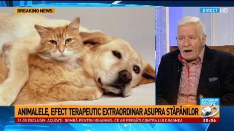 Cum preiau animalele trăsăturile stăp&acirc;nilor