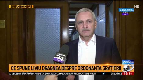 Ce spune Liviu Dragnea despre ordonanța grațierii