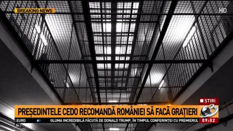 Președintele CEDO, &icirc;n favoarea grațierii