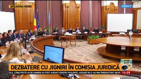 Dezbatere cu jigniri &icirc;n Comisia Juridică: Alina Gorghiu: M-am săturat de PSD-iști obraznici