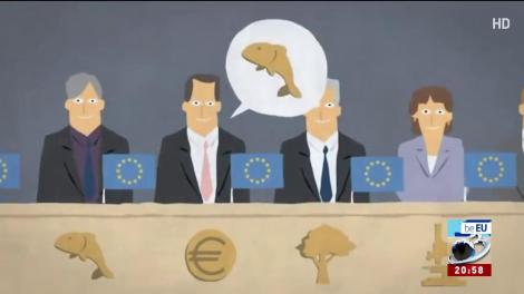 Care este rolul Comisiei Europene