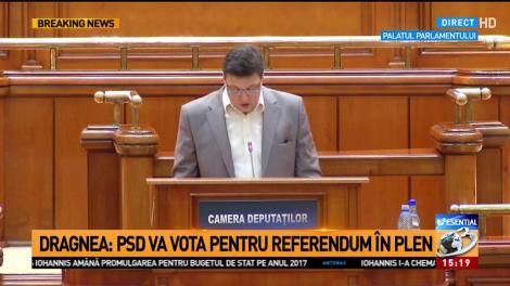 Discuții în Parlament pe cererea președintelui pentru referendum