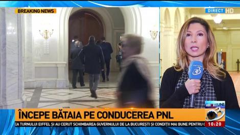 &Icirc;ncepe bătaia pentru conducerea PNL. Liberalii decid c&acirc;nd vor organiza alegeri interne