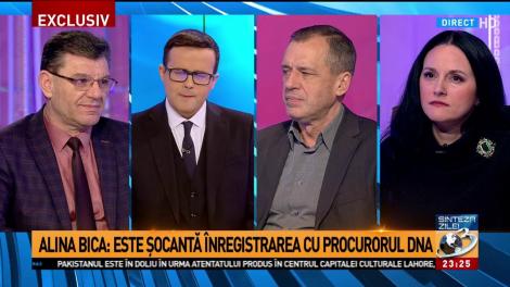 Alina Bica, despre cazul procurorului Mircea Negulescu