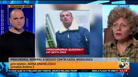 Adina Anghelescu, detalii despre cazul Negulescu