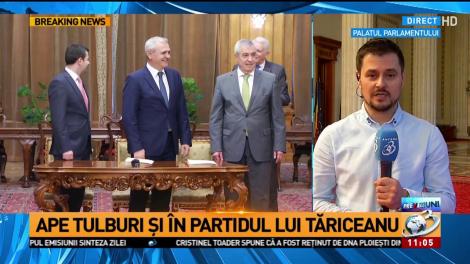 Ape tulburi în partidul lui Tăriceanu. Mai mulți membri vor un singur președinte