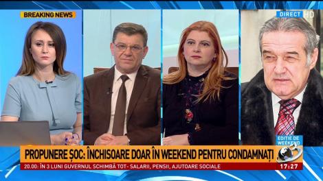 Gigi Becali, despre propunerea liberalilor privind închisoarea în weekend