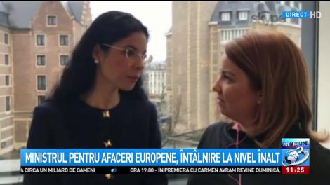 Ana Birchall, &icirc;nt&acirc;lnire la nivel &icirc;nalt: parteneriatul rom&acirc;no-german, foarte important