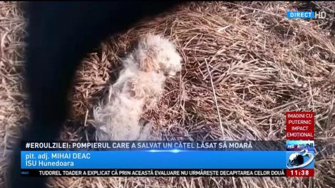 Eroul zilei: Pompierul care a salvat un cățel lăsat să moară
