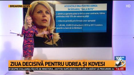 Istoria bizară a dosarului în care Udrea așteaptă sentința