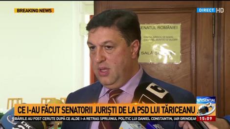 Şerban Nicolae, declaraţii la Comisia Juridică din Senat