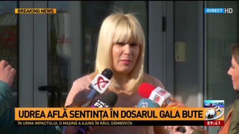 Elena Udrea, declaraţii înainte de sentinţă: Decizia nu poate fi decât de achitare