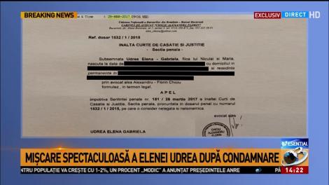Elena Udrea a atacat condamnarea de șase ani