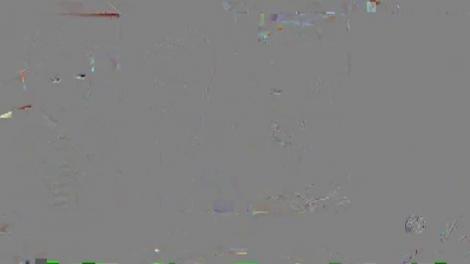 Elena Udrea &icirc;l șantajează cu &icirc;nchisoarea pe Traian Băsescu