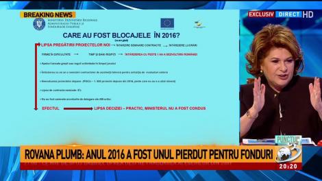 Rovana Plumb explică de ce 2016 a fost un an pierdut pentru fonduri europene