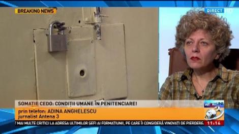 Cedo a dat decizia pilot în cazul României