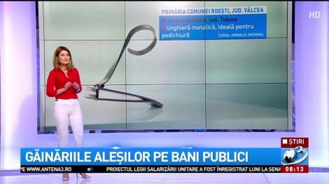 Găinăriile aleşilor pe bani publici