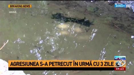 Elevă înjunghiată în plină stradă, agresor liber