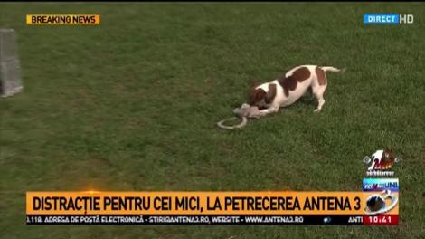 Circul Globus, reprezentație de excepție la Antena 3 - Clovnul Cristiano