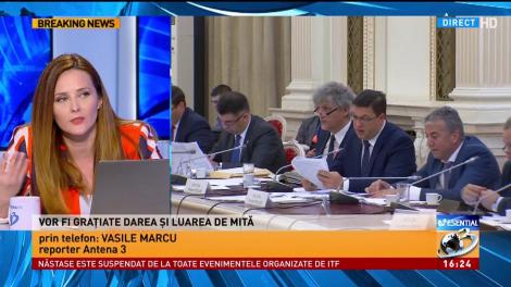 Graţierea faptelor de corupţie, votată în comisia juridică