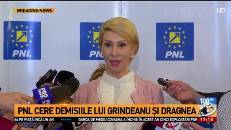 PNL cere demisiile lui Grindeanu şi Dragnea