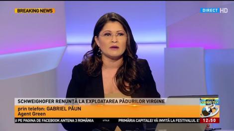 Holzindustrie Schweighofer renunță la exploatarea pădurilor virgine