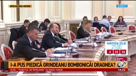 I-a pus piedică premierul Grindeanu Bombonicăi Dragnea?