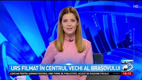 Un urs a fost filmat în centrul vechi al Brașovului