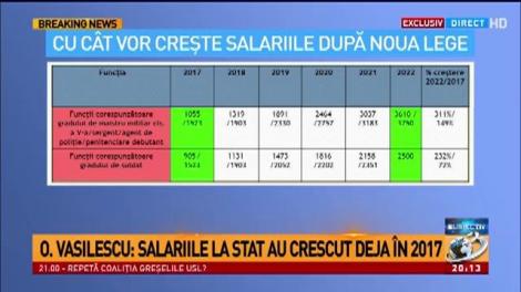 Lia Olguța Vasilescu, explicații despre legea salarizării