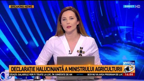 De ce să fie oaia simbol național? Daea explică: Oaia este o statuie vie. Lângă oaie, găsești o frunză, dar lângă frunză nu poți să găsești o oaie
