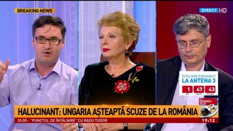 Dan Tănasă: Un cetăţean care vorbeşte romani poate merge într-un spital şi se poate adresa în limba lui, iar spitalul e obligat...