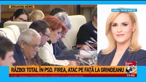 Gabriela Firea, atac la Guvern