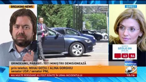 Alina Gorgiu, despre posibila remaniere a premierului Sorin Grindeanu