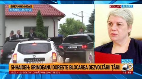 Sevil Shhaideh depune plângere penală împotriva lui Grindeanu: Grindeanu doreşte blocarea dezvoltării ţării