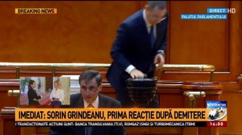 Gabriela Firea: propunem 2-3 nume pentru premier