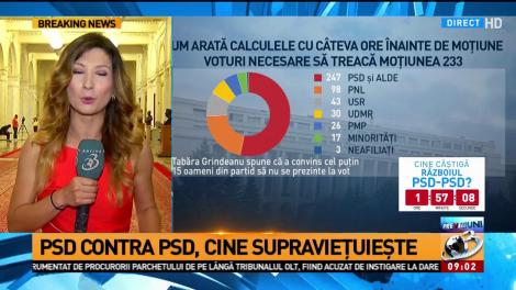 Andreea Dumitrache, detalii despre moțiune de la Parlament