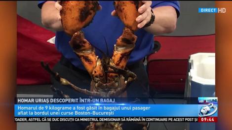 Ce au descoperit americanii în bagajul unui român care încerca să ajungă la București. Fotografia face înconjurul lumii