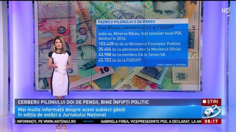 Cerberii pilonului 2 de pensii, bine &icirc;nfipți &icirc;n politic