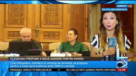 Comisia de anchetă din Parlament își alege noul președinte