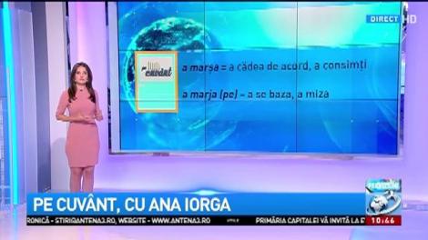 Pe cuvânt, cu Ana Iorga: De unde a apărut verbul ”a marja” care nu apare în dicționare
