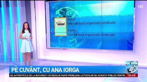 Pe cuvânt, cu Ana Iorga. Cuvinte mici, dar care ne pun în încurcătură: a, ai, ale