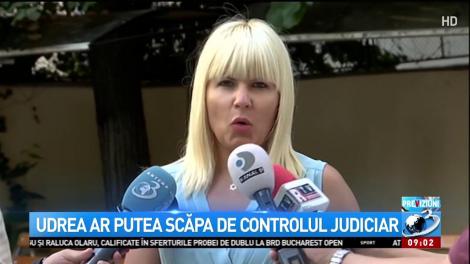 Elena Udrea, la Înalta Curte de Casație și Justiție